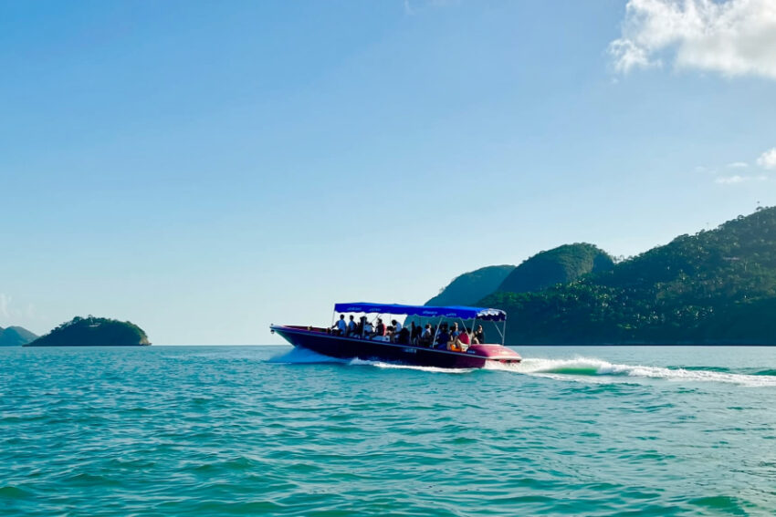 Toad Bus Ilha Grande | Green Toad Bus